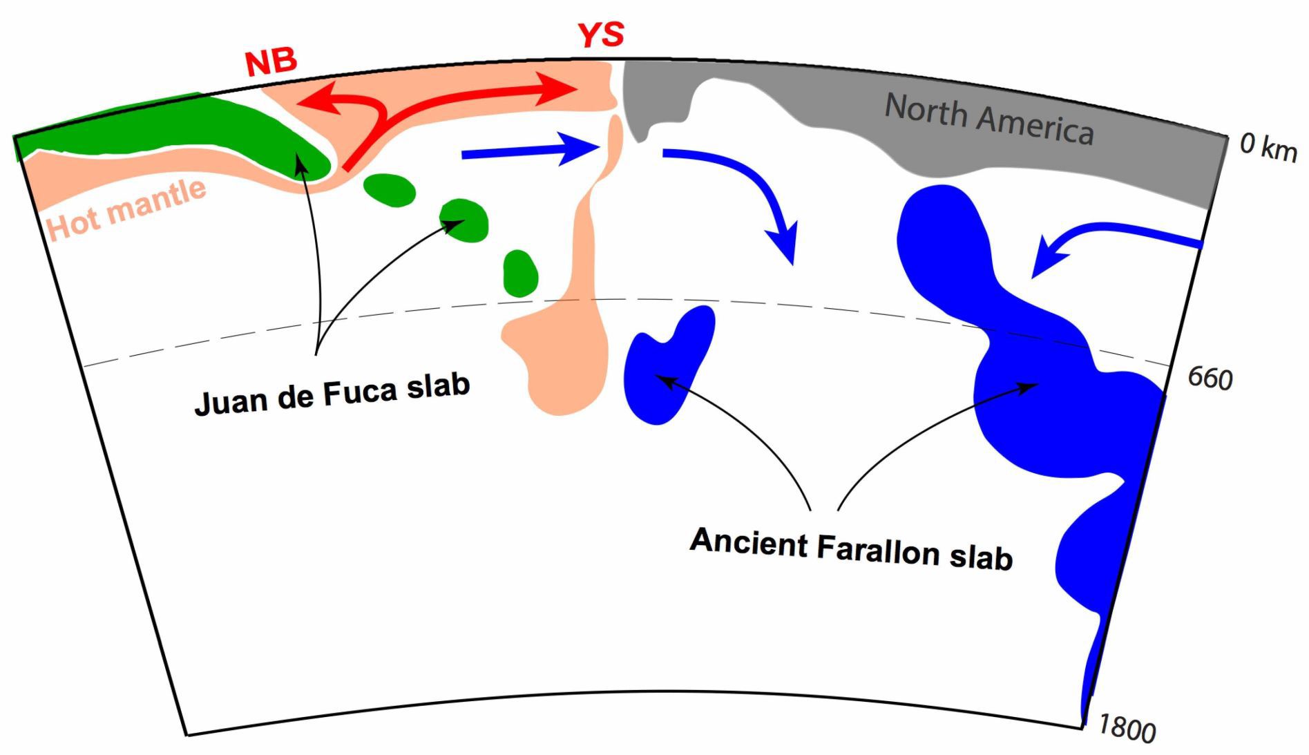 Sketch of key mantle processes